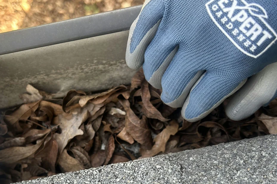 Gutter Cleaning Pasadena MD