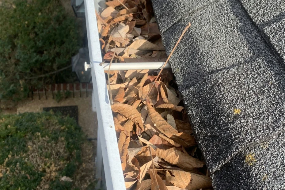 Gutter Cleaning Pasadena MD